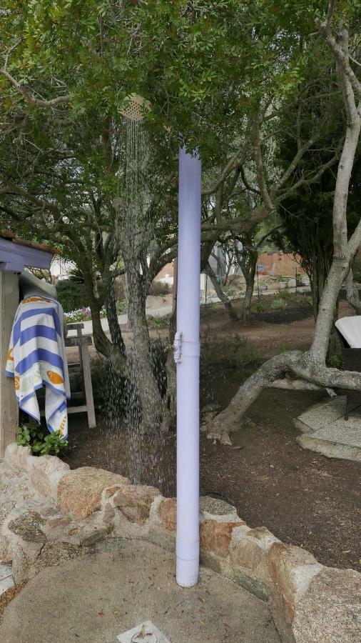 Apartament Les Figuiers Porto Pollo Zewnętrze zdjęcie